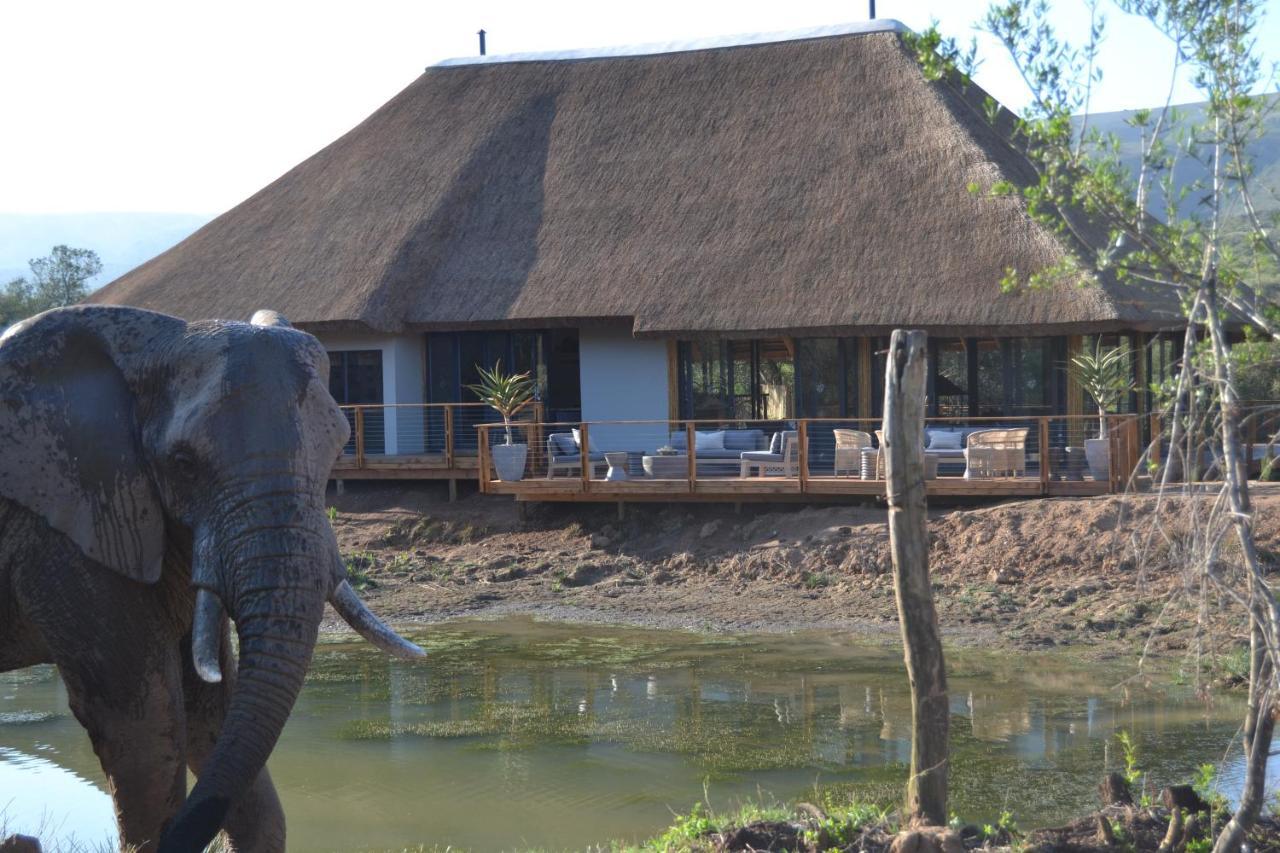 Barefoot Addo Elephant Lodge Luaran gambar