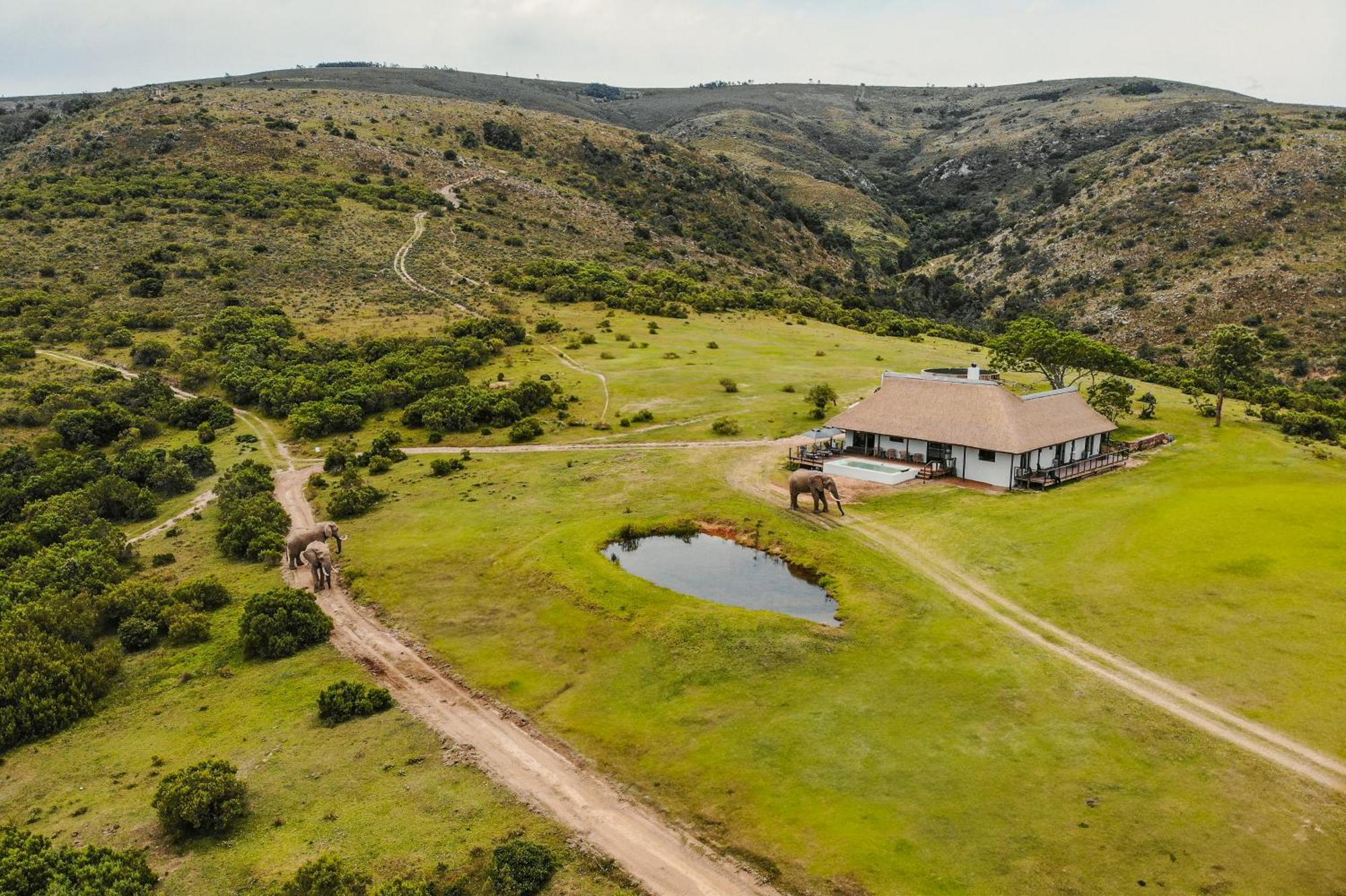 Barefoot Addo Elephant Lodge Luaran gambar